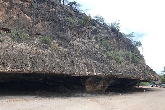 Bahía de las águilas glamping experience from Santo Domingo - Who this trip suits best