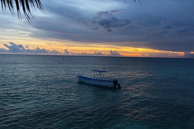 Bahía de las águilas glamping experience from Santo Domingo - Quick tips to make the most of it