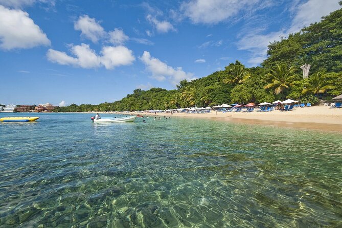 Barceló Bávaro Beach - Round Trip Shuttle - Punta Cana Airport - Price and Value: How $80 Works for Up to 6