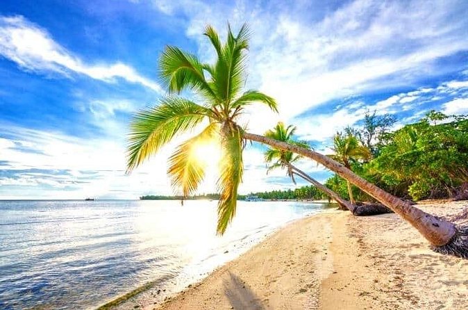Barceló Bávaro Palace - Round Trip Shuttle - Punta Cana Airport - Should You Book This Punta Cana Round-Trip Shuttle?