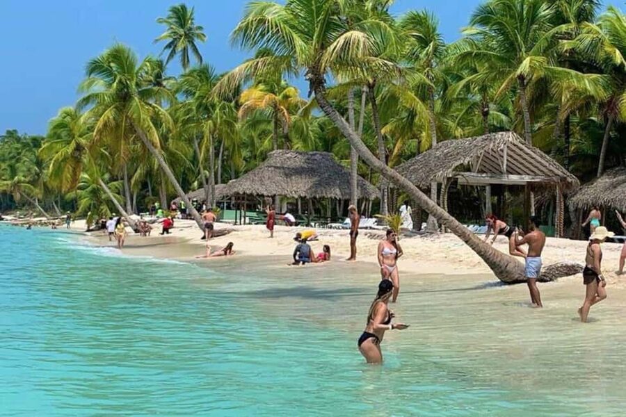 Bavaro: Saona Island Speedboat Tour with Open Bar - From Bavaro area to Bayahibe: how the 8 hours likely play out