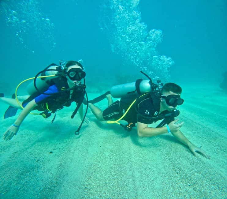 Bávaro: Scuba Diving Experience for Beginners - The 6–12 Meter Range: What You’ll See and Why It Works