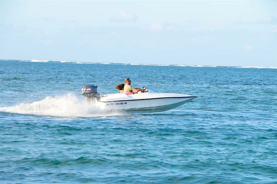 Bávaro: Speed Boat and Snorkeling Trip - Weather, Seaweed, and Real-World Expectations