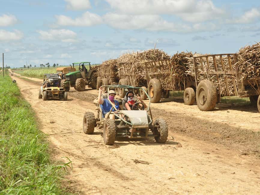 Bayahibe: Buggy and Horseback Riding Tour - Bayahibe Buggy and Horseback Riding: the best mix of action and nature