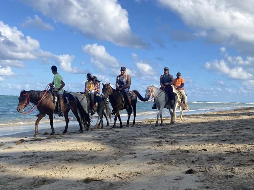 Bayahibe: Buggy and Horseback Riding Tour - Price and value for an all-in mixed adventure