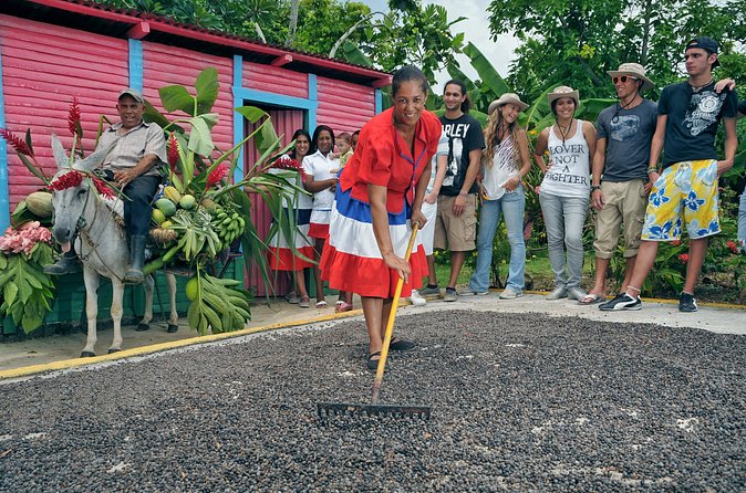 Bayahibe Countryside Safari from La Romana - The ride, the pace, and group size: what to expect on the van