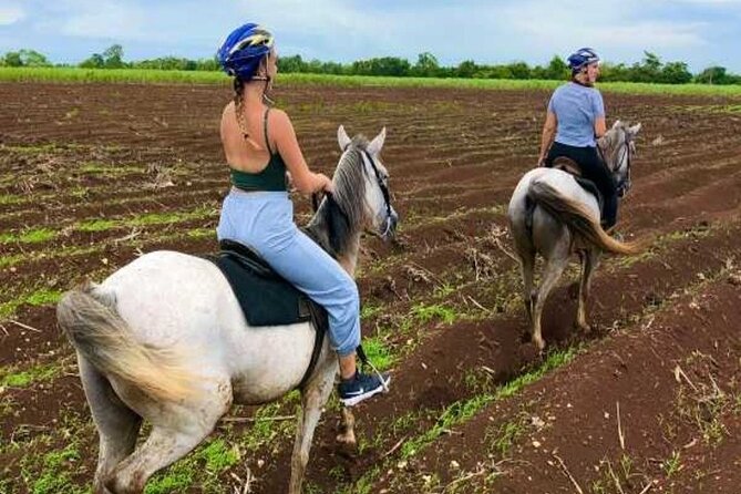 Bayahíbe Horseback Riding & River swimmig - Río Chavón Swimming: How to Make the Most of the Water Time
