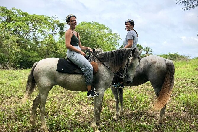 Bayahíbe Horseback Riding & River swimmig - Value Check: Does $125 Add Up?