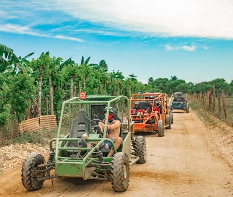 Bayahibe Jungle Buggy Expedition - The tastings at the end: chocolate, coffee, and Mamajuana