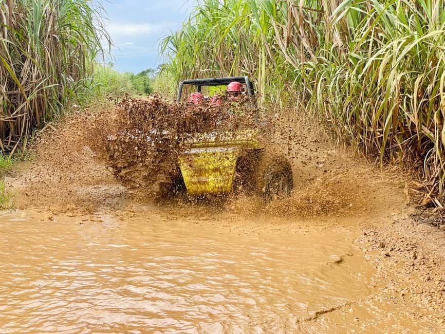 Bayahibe: Jungle Off-Road Buggy Adventure - Entering the Benerito ranch: the buggy starts before the muddy fun