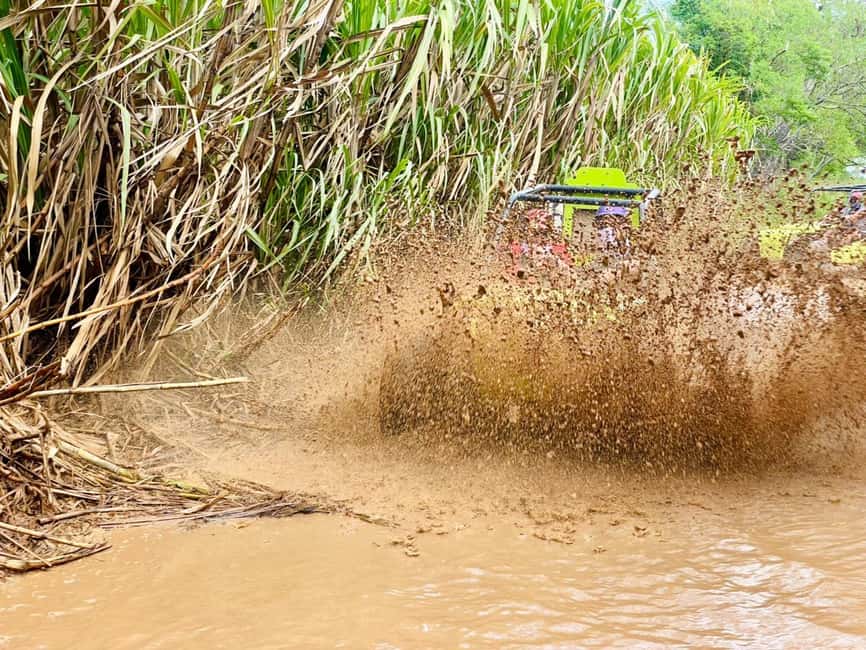 Bayahibe: Jungle Off-Road Buggy Adventure - Price and logistics: does $65 deliver real value?
