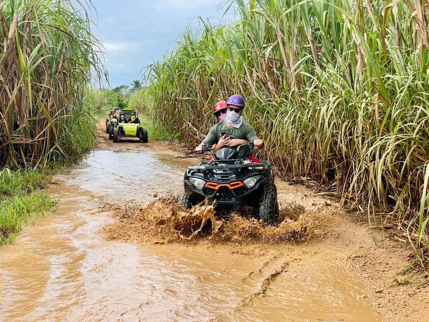 Bayahibe: Jungle Off-Road Buggy Adventure - What to expect on the day: small rules that keep it smooth