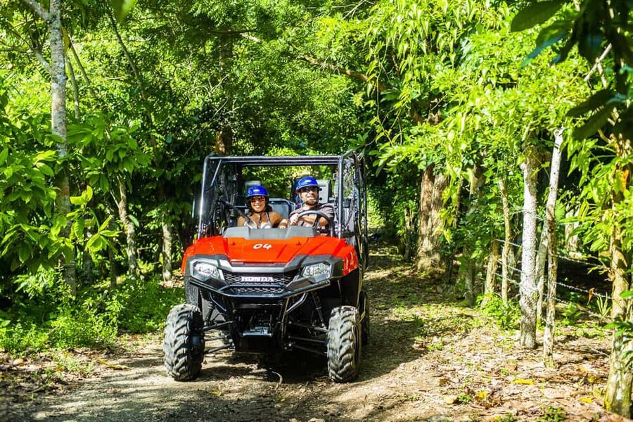 Bayahibe/La Romana: 4x4 Buggy and Monkeyland Tour - 4x4 driving near Bayahibe and La Romana: what the Honda Pioneer 700 feels like