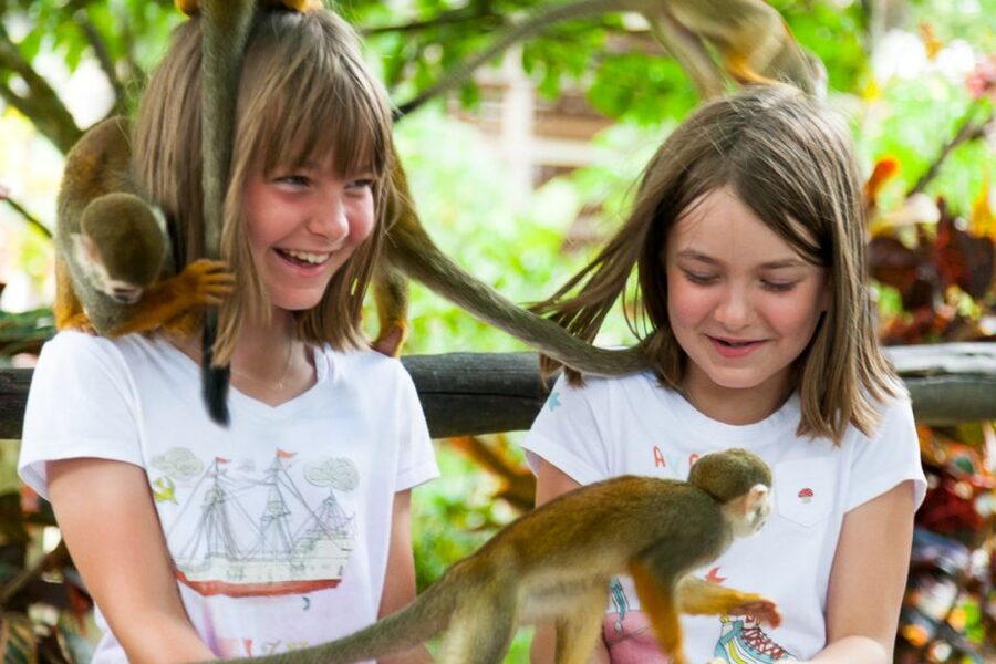 Bayahibe/La Romana: 4x4 Buggy and Monkeyland Tour - Should you book the Bayahibe/La Romana 4x4 Buggy and Monkeyland Tour?
