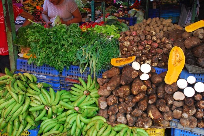 Bayahibe Safari Discovery - The real value in a $119 Bayahibe safari