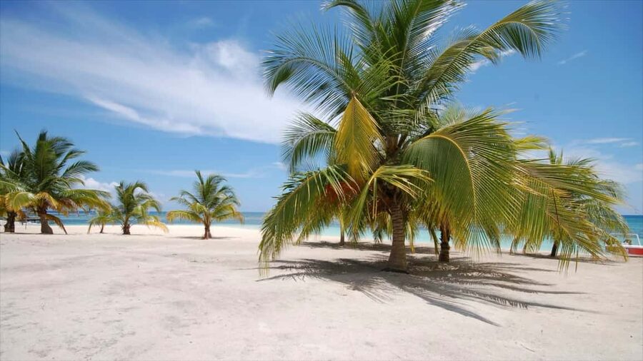 Bayahibe: Saona Island Sailing in catamaran with open bar - Open bar and music: how to keep the fun from turning chaotic