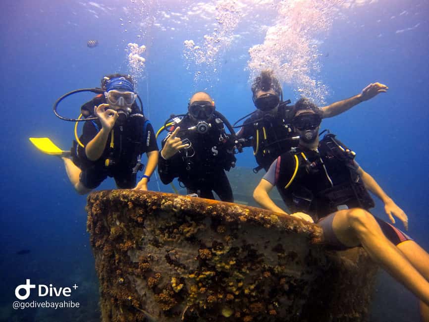 Bayahibe: Scuba Diving Initiation by Go Dive Bayahibe - Getting Signed Up Fast: Paperwork, Then Boatside