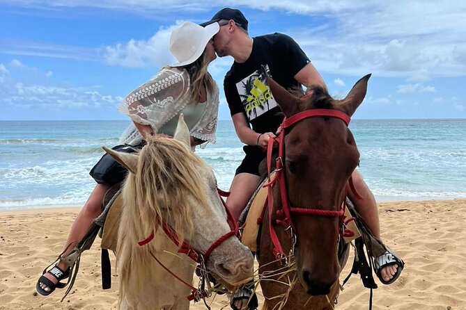 Beach Horseback Ride Tour at Punta Cana - What This Beach Horse Ride Feels Like in Punta Cana