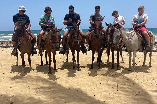 Beach Horseback Ride Tour at Punta Cana - Group Size, Pace, and Comfort on the Beach