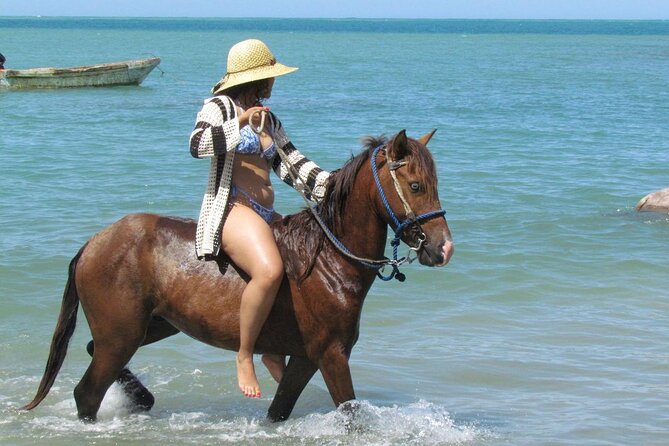 Beach Horseback Ride Tour in Puerto Plata - Scenic & Fun for All - Key Highlights You’ll Actually Care About