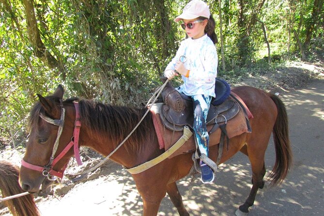 Beach Horseback Ride Tour in Puerto Plata - Scenic & Fun for All - Riding from Puerto Plata to Bergantín Beach: the core of the experience