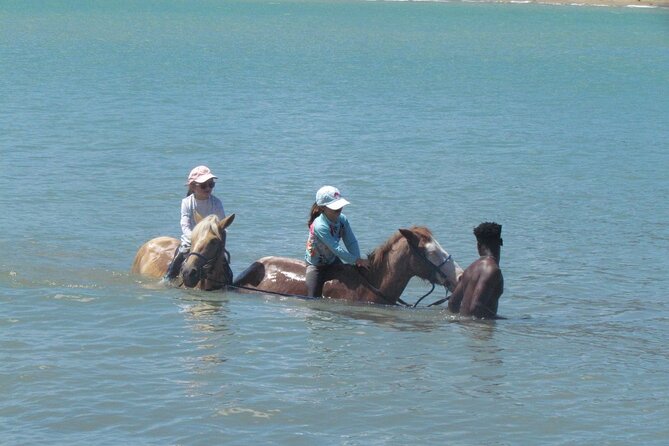 Beach Horseback Ride Tour in Puerto Plata - Scenic & Fun for All - Price and value: why $70 can be a good deal here