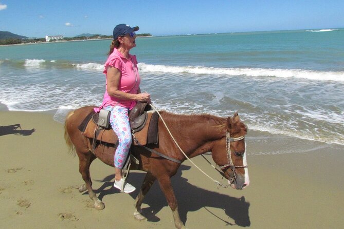 Beach Horseback Ride Tour in Puerto Plata - Scenic & Fun for All - Who this horseback ride is best for (and who should think twice)