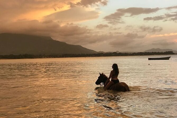 Beach Horseback Ride Tour in Puerto Plata - Scenic & Fun for All - Getting to the start: how pickup from Amber Cove and hotels works