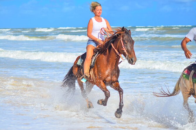 Beach Sunset on Horse Riding in Punta Cana(Private Option) - Key Things You’ll Notice Up Front