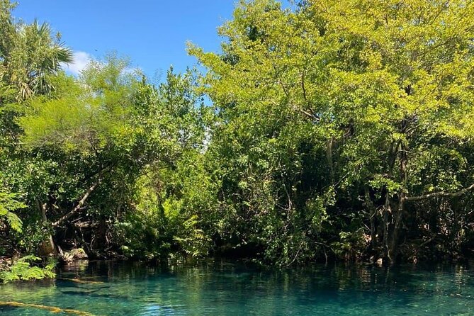 Blue Lagoon Tour with Catamaran Cruise and Snorkeling - The eco-reserve by golf cart: a calmer way to see Punta Cana’s nature side