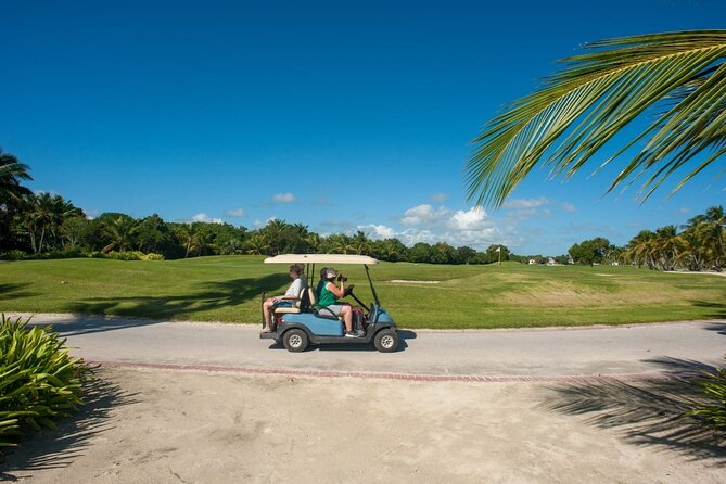Blue Lagoon Tour with Catamaran Cruise and Snorkeling - Apiary, honey basics, and the Rhinoceros Iguana moment