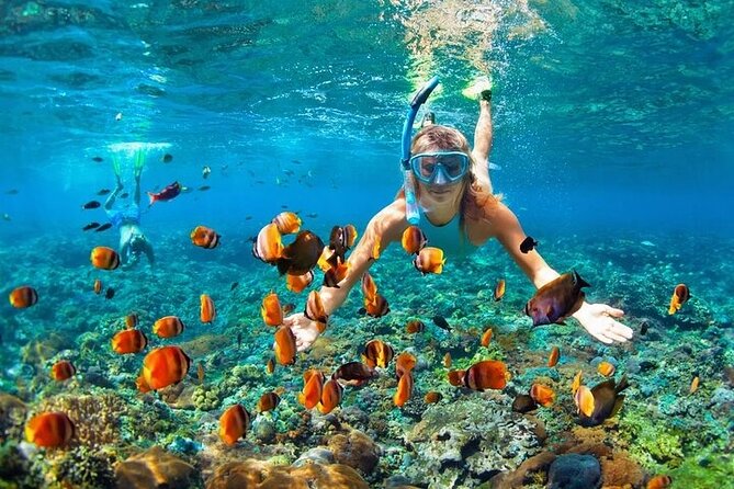 Boat Party with Drinks and Snacks with Transportation Included - Stop 2 at Bavaro Beach: snorkeling plus a slide for maximum fun