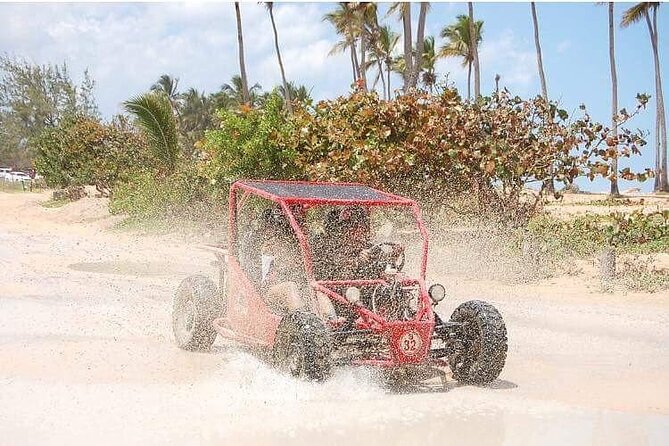 Boogies & Polaris - Explore Punta Cana in a Buggy - Plantation Roads and Village Pass-Through: Coffee and Cocoa