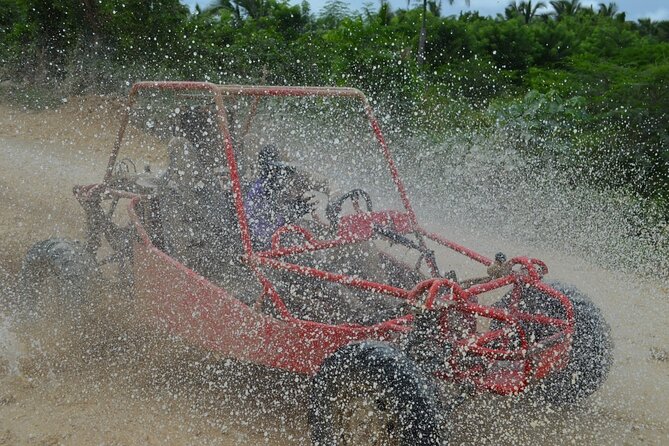 Boogies & Polaris - Explore Punta Cana in a Buggy - Buggy or Polaris Driving Through Jungle Roads