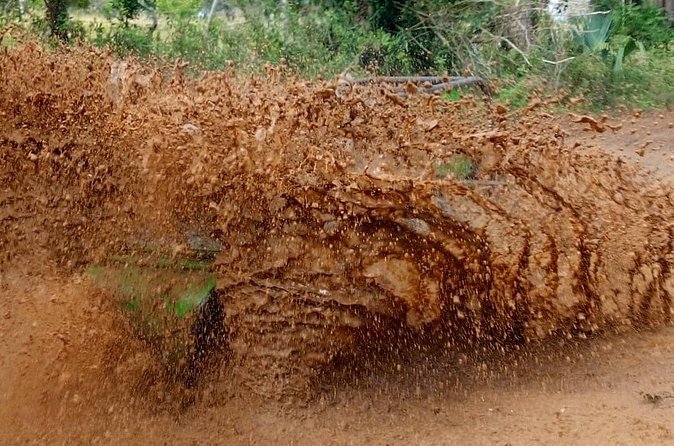 Buggie Adventure Bayahibe - The Best Reasons to Book (And Who Might Prefer Something Else)