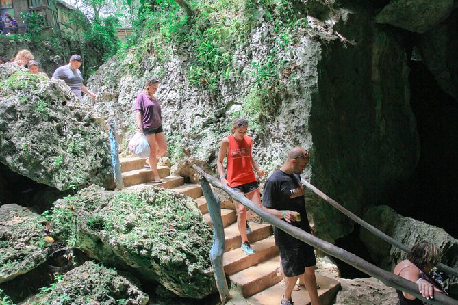 Buggies Half Day Experience and Cenote - Macao Cave cenote time: swimming in a different kind of water