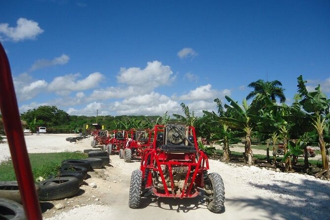 Buggies Half Day Experience and Cenote - Photos, souvenirs, and that “down-and-dirty” reality