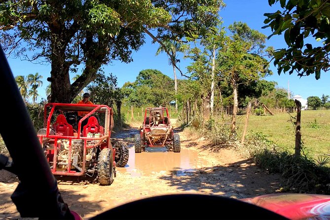 Buggy Adventure: Macao Beach & Cenote Experience - The Cenote Taina stop: why the swim is the highlight for many people
