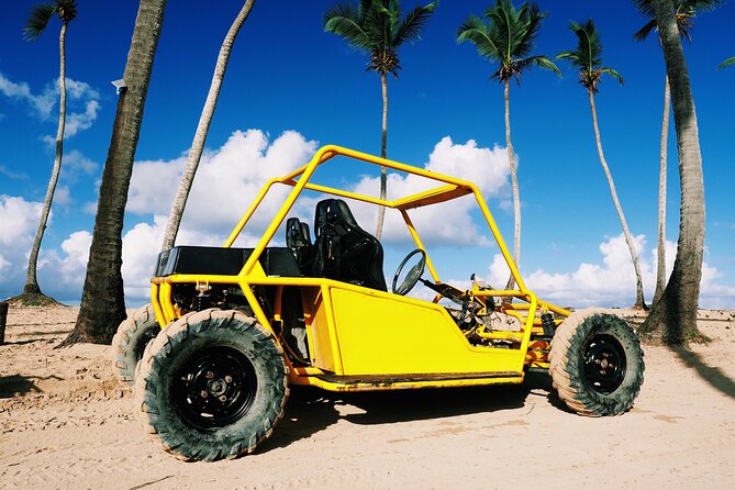 Buggy Adventure: Macao Beach & Cenote Experience - Price and logistics: what $60 buys you, and what can add up