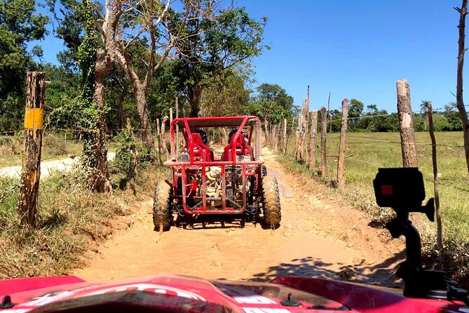 Buggy Adventure: Macao Beach & Cenote Experience - Who this buggy-and-cenote day suits best
