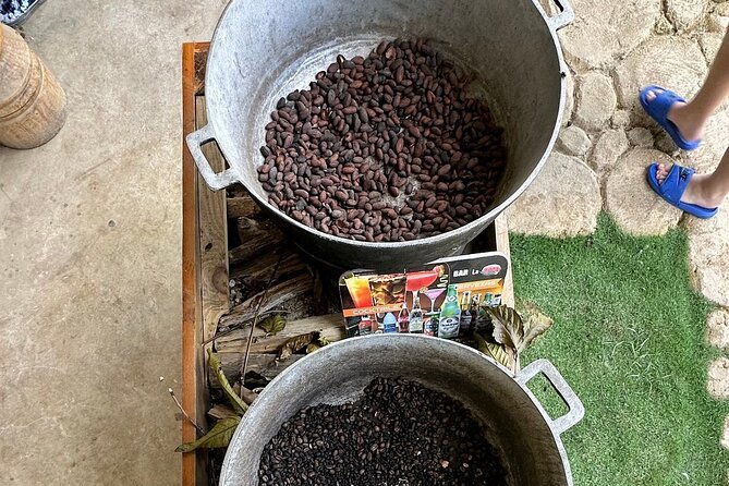 Buggy Adventure Tour with Chocolate and Coffee in Punta Cana - Key highlights to know before you go