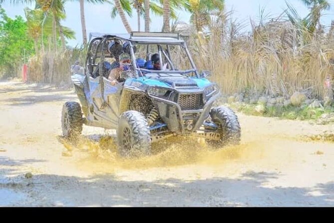Buggy & ATV Outdoor Tour in Punta Cana - Small-group feel, local ranch energy, and guide support