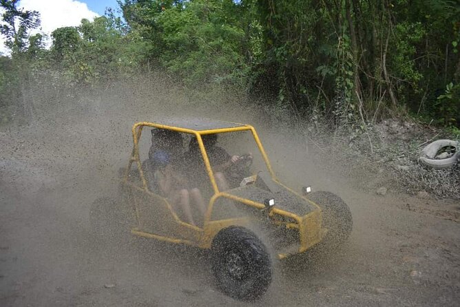 Buggy Excursion in Puerto Plata - Key Highlights You’ll Actually Feel on This Buggy Ride