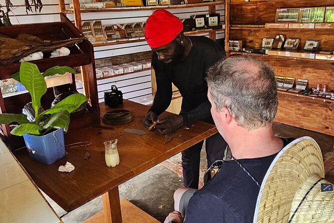 Buggy, horse and plantation ranch - Stop 1: Macao Beach Ranch Workshop (Coffee, Cacao, and Cigars)