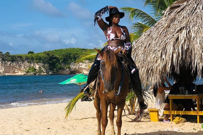 Buggy Horses and Zip Line from Punta Cana with Lunch Included - Safety, service, and how to get the most out of the day