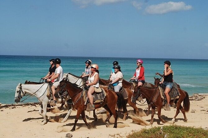 Buggy Horses and Zip Line from Punta Cana with Lunch Included - Zip lining at Macao Beach: eight carbon lines and a suspension bridge