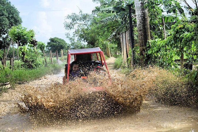 Buggy Off-Roading with Chocolate and Coffee Tasting In Punta Cana - Stop 3 at Macao Beach: make the most of the water and white sand