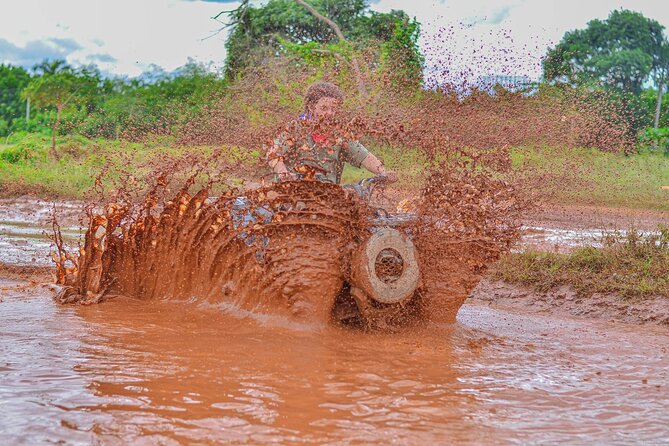Buggy Playa Macao Lagoon Cave Tour Cafe And Tobacco, - Booking Timing, Pickup, and Mobile Tickets