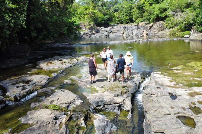 Buggy Ride, Horseback, Zipline,Eco Farm,Macao Beach - Safety, guide quality, and the part you should verify
