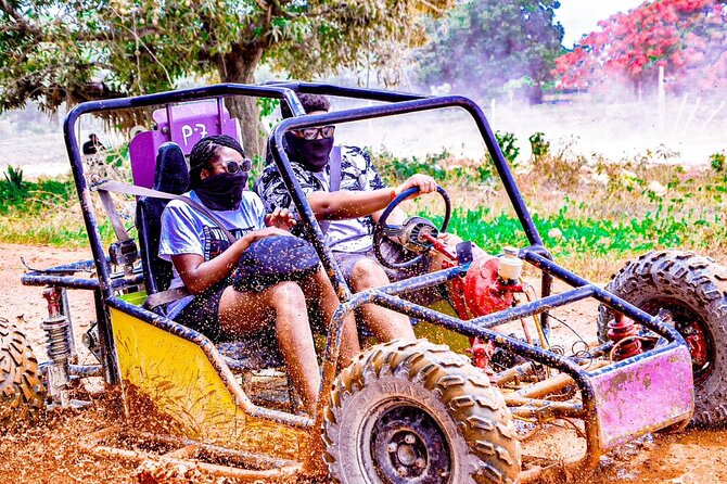 Buggy Ride into the Jungle coffee , chocolate tasting Cenote - Price and Value: is $60 for 3 hours fair?